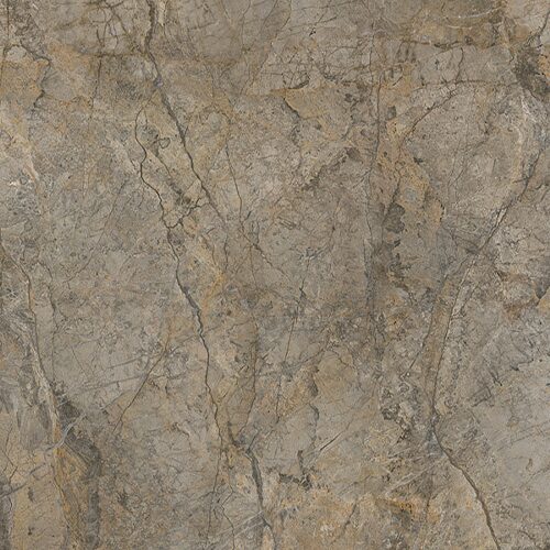 Rainforest_Brown